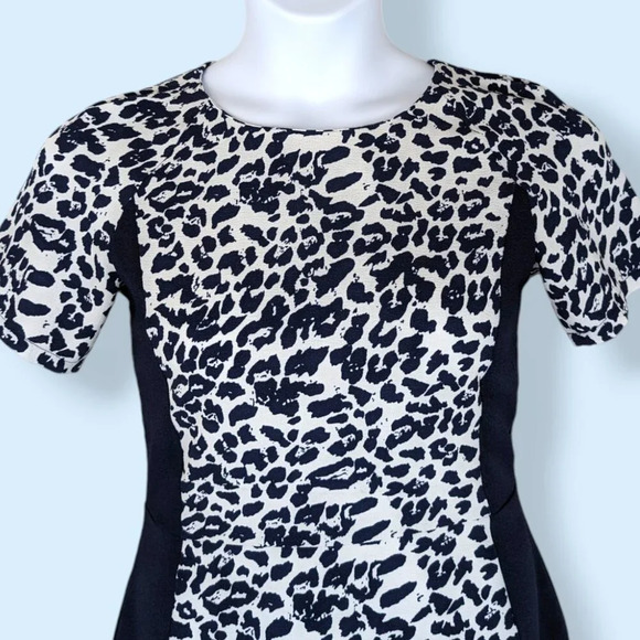 Blue Cheetah Print Dress - Picture 3 of 5